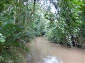 The Kyambura River at the bottom of the gorge.: by steve_and_emma, Views[405]