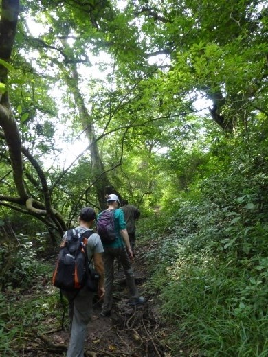 The walk was one of the best we have done in a forest in Uganda.