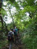 The walk was one of the best we have done in a forest in Uganda.: by steve_and_emma, Views[330]
