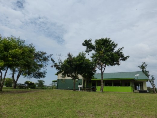 Tembo restaurant next to Mweya Lodge is fantastic. The same views as the lodge at a fraction of the price.