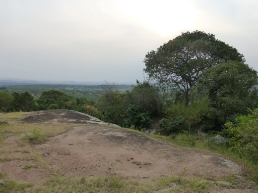 The view from our room at Rwakobo Rock.