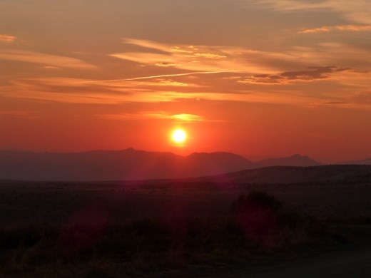 Sunrise in the park.