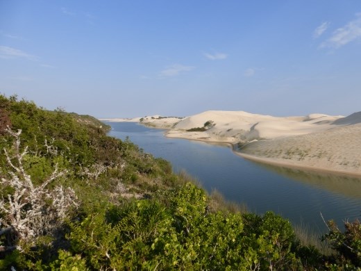 Looking down the Sundays River towards the sea.
