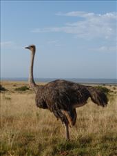 by steve_and_emma, Views[288]