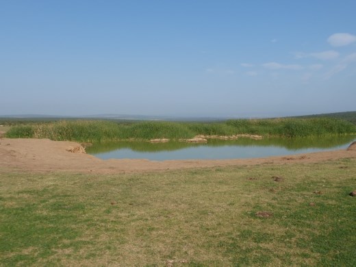 One of the many watering holes which give life to the park.