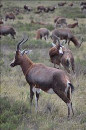 by steve_and_emma, Views[401]