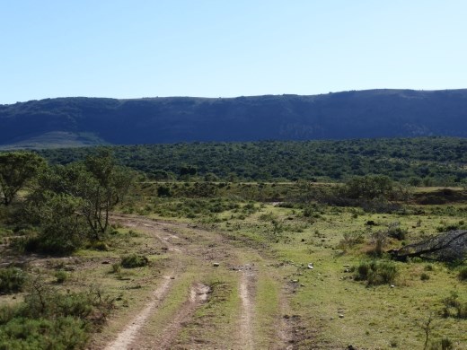 Pumba private game reserve.
