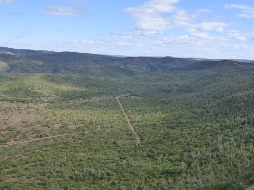 Beautiful views abound from ever point in Hogsback.
