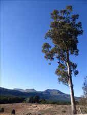 by steve_and_emma, Views[274]