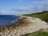 More stunning coastline scenery in St Francis Bay.: by steve_and_emma, Views[659]
