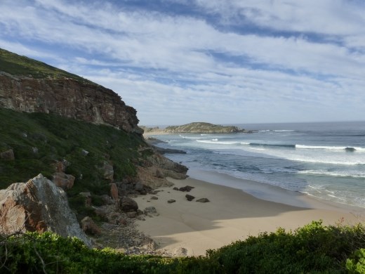 We saw several groups of whales along the coast.