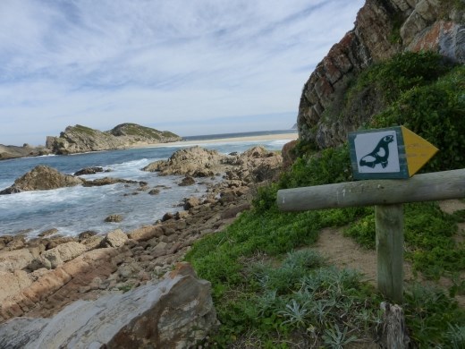 The trail was clearly marked and the walk around the whole peninsular took about 4 and half hours with many stops to watch seals, whales and hyraxes.