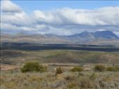The Karoo is a very dry, windy and desolate place.: by steve_and_emma, Views[474]