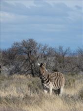 by steve_and_emma, Views[477]