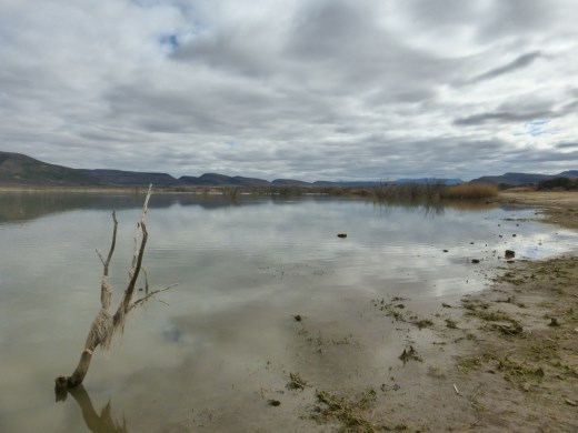 Camdeboo has a large lake which adds to its scenery after the very dry Karoo. Bet the animals love it too.