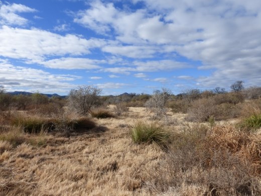 We loved this park as we hardly saw any other visitors.