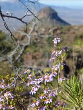 by steve_and_emma, Views[254]