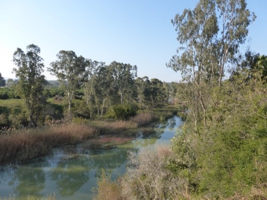 The view of the Sundays River from our chalet.
