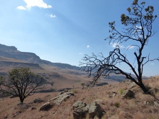 Heading towards the Sani Pass and Lesotho.