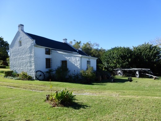 We even own an old ox cart and various ploughs!