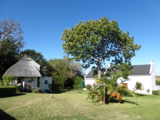 Lots of land with the property, about half an acre!