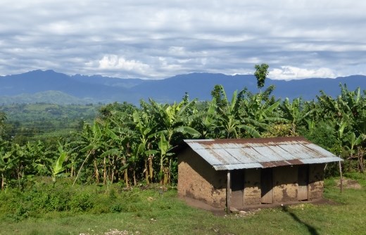 A view of the Rwenzori Mountains on a clear day outside Fort Portal.