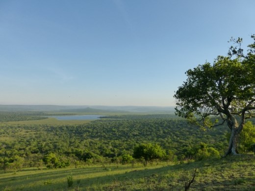 The view from Kazumu look out in Lake Mburu. A section of the park we had need been to before.