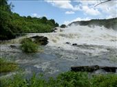 We stopped off at Karuma falls on the way to the northern side of Murchison Falls NP.: by steve_and_emma, Views[1192]