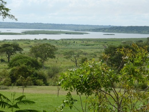 The view of the Nile from Fort Murchison hotel.