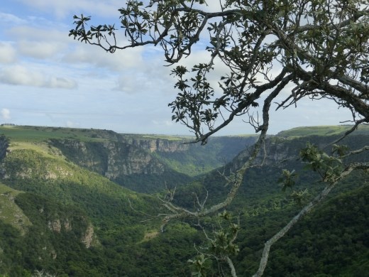 The stunning Oribi Gorge.