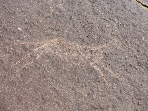 Ancient rock art in the Karoo.