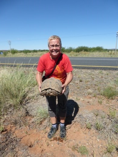 Emma was well rewarded for saving this fella from certain death on the road. Don't pick them up unless it is really necessary.