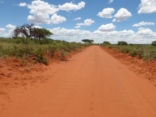 Dirt road in Mokala National Park.