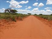 Dirt road in Mokala National Park.: by steve_and_emma, Views[379]