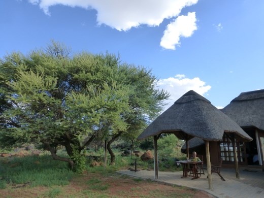 The chalets at Mokala were great.