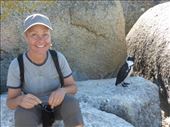 You can get quite close to the little African penguins.: by steve_and_emma, Views[338]