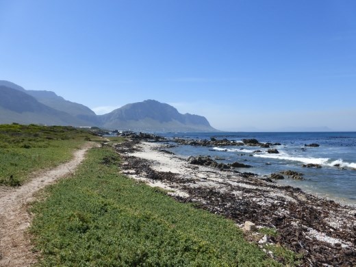 Our picnic spot in Betty's Bay on the way to Hermanus.