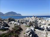 by steve_and_emma, Views[474]