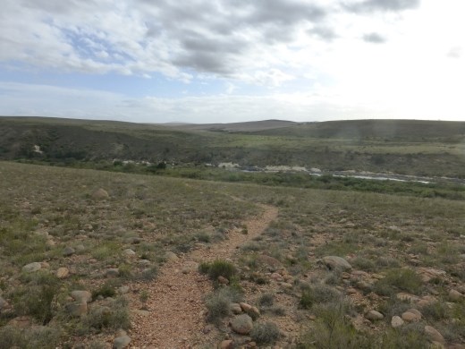 Not much game in the park.