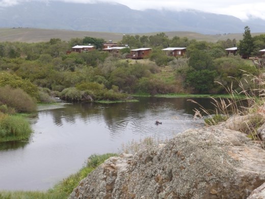 The rest camp is fantastically located by the Breede River.