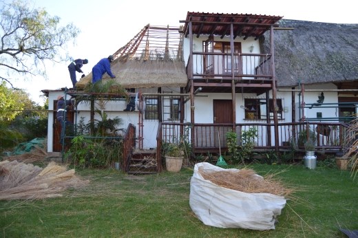 The stripping begins!