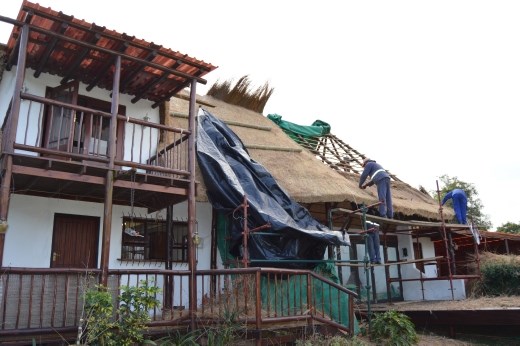 Work begins on the tea rooms roof.