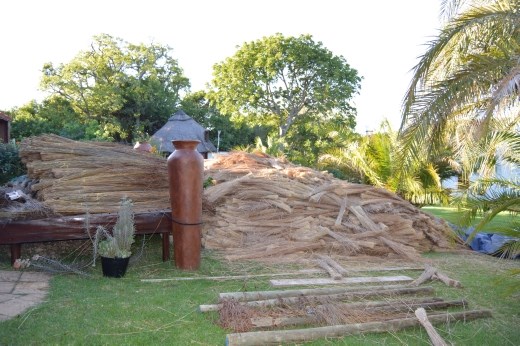The thatch comes from Limpopo region and only gets harvested at the first frost, which is usually in May.
