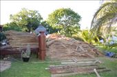 The thatch comes from Limpopo region and only gets harvested at the first frost, which is usually in May.: by steve_and_emma, Views[553]