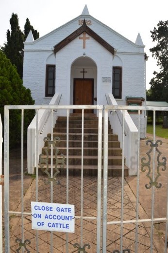 Some people worry about crime in south Africa, well in Bathurst all we have to worry about are marauding cows!