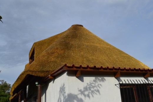 It has a golden tinge to it in the sunshine.