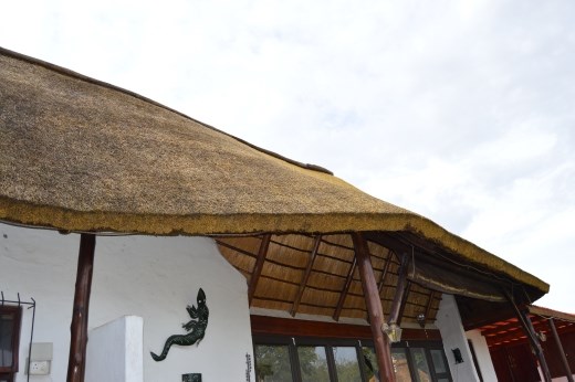 As you can see the thatch is so much thicker than the old roof and no trees are growing out of it!