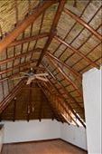 Putting the fire proofing on not only protect from fire, it also gives the thatch a nice sheen.: by steve_and_emma, Views[705]