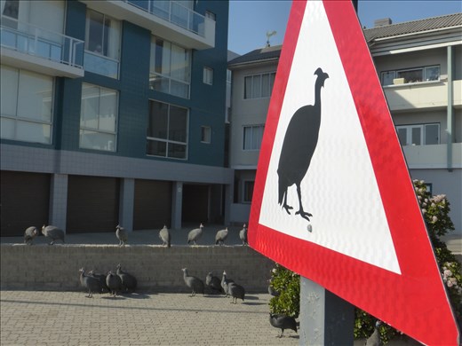 Rush hour in Swakopmund.