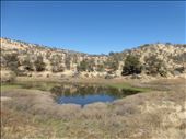 Avis Dam Nature Reserve near Windhoek.: by steve_and_emma, Views[276]
